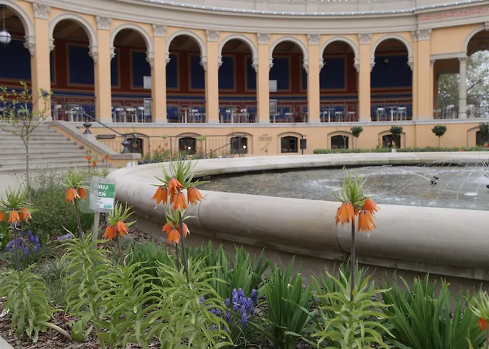 Junior * ורוצלב